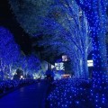 Lampki choinkowe 200LED niebieskie, światełka zewnętrzne świąteczne2.jpg