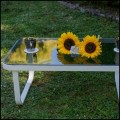 Biały stolik ogrodowy 55x90x34cm , aluminiowy ze szklanym blatem  RARO2.jpg