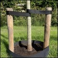 Mocna taśma 15mm40m do mocowania, wiązania, podwiązywania drzew i roślin1.jpg