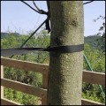 Mocna taśma 30mm40m do mocowania, wiązania, podwiązywania drzew i roślin2.jpg