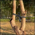 Mocna taśma 30mm40m do mocowania, wiązania, podwiązywania drzew i roślin2.jpg