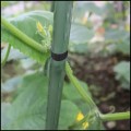 Mocna taśma 30mm40m do mocowania, wiązania, podwiązywania drzew i roślin2.jpg