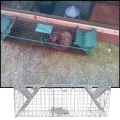 Żywołapka 65x20x21cm na kuny szczury humanitarna pułapka na gryzonie klatka9.png