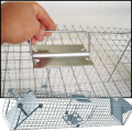 Żywołapka 65x20x21cm na kuny szczury humanitarna pułapka na gryzonie klatka 1.png