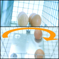 Żywołapka 65x20x21cm na kuny szczury humanitarna pułapka na gryzonie klatka.png