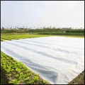 Gruba włóknina biała 3,2x10m 50g otulina okryciowa zimowa flizelina osłona5.jpg