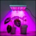 Panel lampa 45W do wzrostu roślin 225LED uprawa roślin +doniczki torfowe (10).jpg