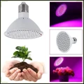 Lampa 20W 200LED do wzrostu roślin uprawa booster przyśpieszacz + żarówka (2).jpg