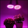 Lampa 20W 200LED do wzrostu roślin uprawa booster przyśpieszacz + żarówka (8).jpg