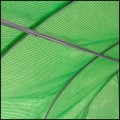 Folia zamienna 2,5x4x2 na tunel ogrodowy poszycie foliak, zapasowa folia (13).jpg