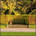 Czarna ławka ogrodowa 127x68cm parkowa metalowy stelaż do 180kg (1).jpg