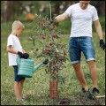 6x brązowa osłonka ochronna na pieńki drzew ochraniacz drzewek obrzeże osłona pnia  (3).jpg