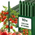Grube tyczki  120cm 10 szt do roślin pnących .paliki do pomidorów do kwiatów 16mm (2).jpg