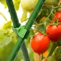 6x łącznik obrotowy 16mm  klips do tyczek łączenia roślin plastikowy   (3).webp