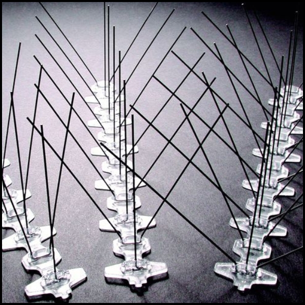 Gęste kolce 50 cm na ptaki gołębie nierdzewne kolce przeciw ptakom polipropylen 60 szt.  (6).jpg