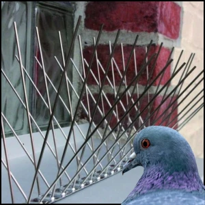 Gęste kolce 50 cm na ptaki gołębie nierdzewne kolce przeciw ptakom 60 szt.