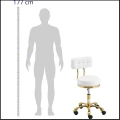 Biało złote krzesło taboret hoker kosmetyczny z oparciem na kółkach do 150 kg GELA (2).jpg