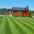 trawnik-z-rolki-trawa-zrolki-zielony-trawnik-home-and-garden-245.jpg