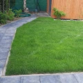 trawnik-z-rolki-trawa-zrolki-zielony-trawnik-home-and-garden-244.jpg