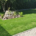 trawnik-z-rolki-trawa-zrolki-zielony-trawnik-home-and-garden-247.jpg