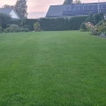 trawnik-z-rolki-trawa-zrolki-zielony-trawnik-home-and-garden-2455.jpg