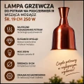 Lampa grzewcza do potraw na podczerwień IR wisząca mosiądz śr. 19 cm 250 (2).jpg